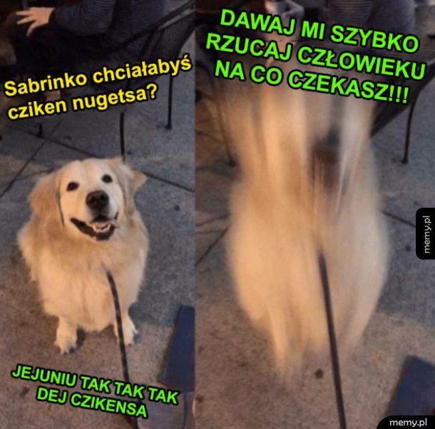 Pieseł