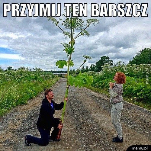 Barszcz :D