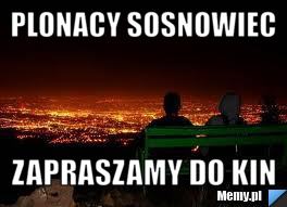 płonący sosnowiec
