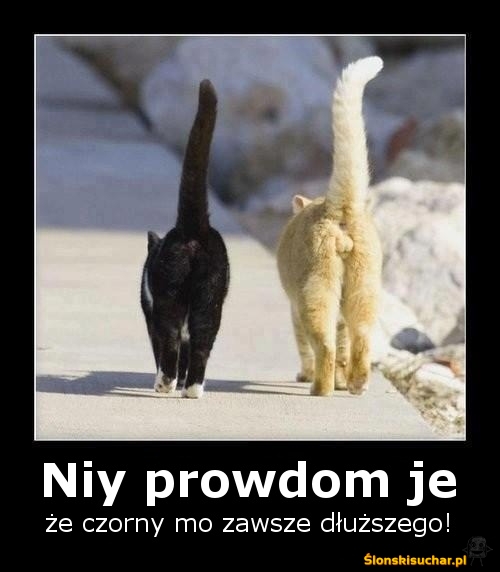 Czorny niy winkszy