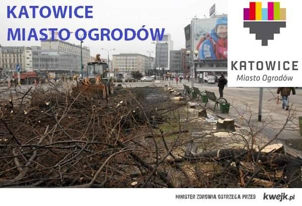 Katowice - Miasto ogrodów