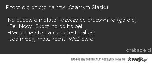 Mody uczy się od najlepszych