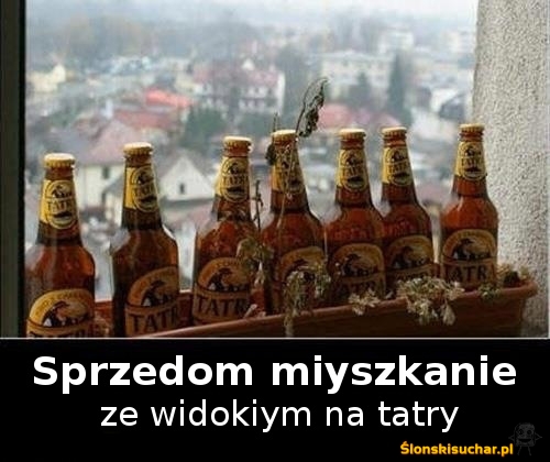 Sprzedam mieszkanie, ktoś chętny? :D