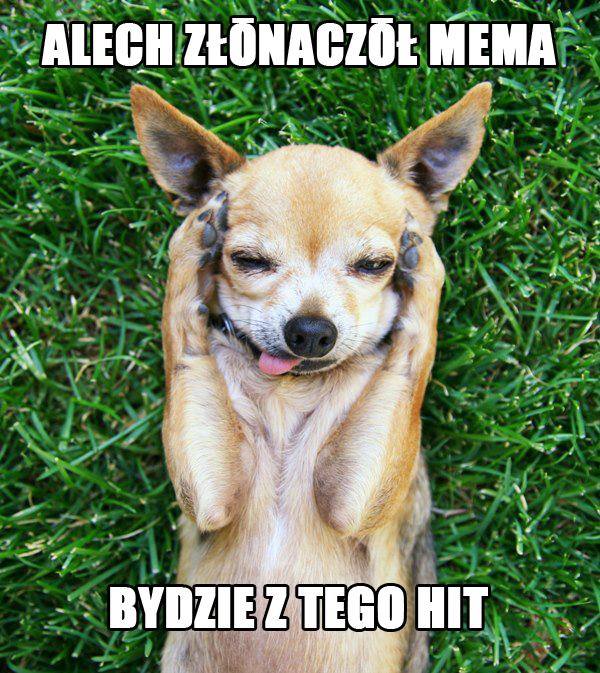Będzie hit!