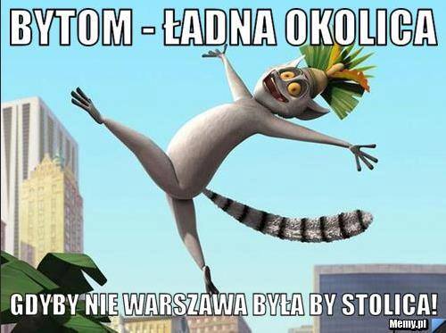 Król Julian o Bytomiu!