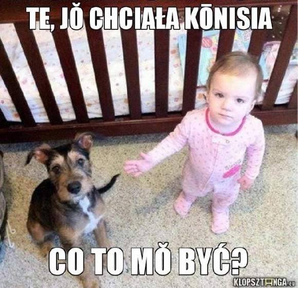 Mody niy w humorze