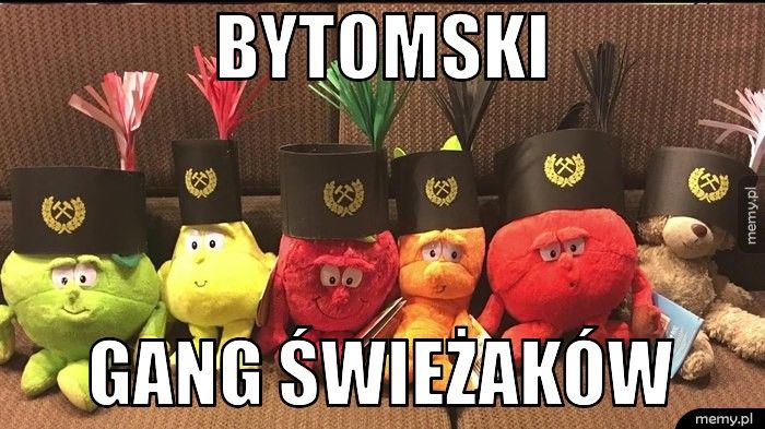 Gang Świeżaków z Bytomia